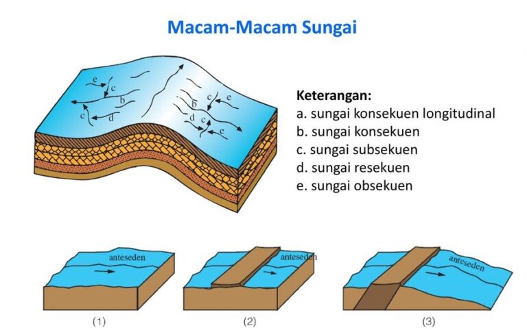 Pola Aliran Sungai - Pengertian Dan Jenisnya