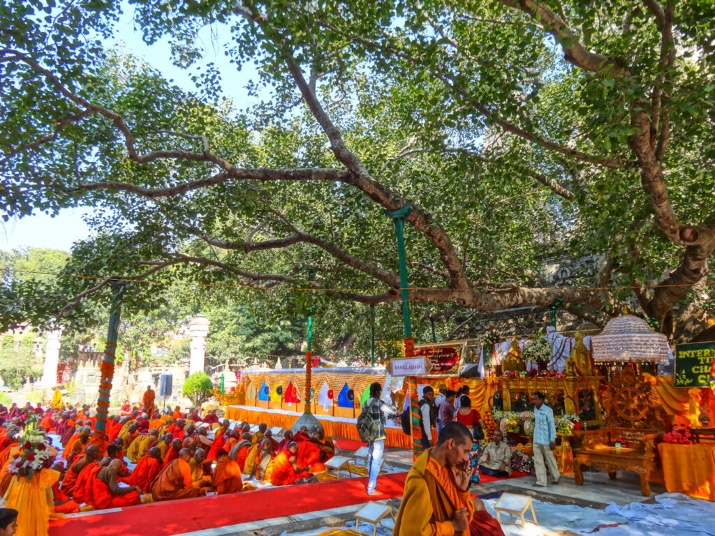 Pohon-Jaya-Sri-Maha-Bodhi-Sri-Lanka