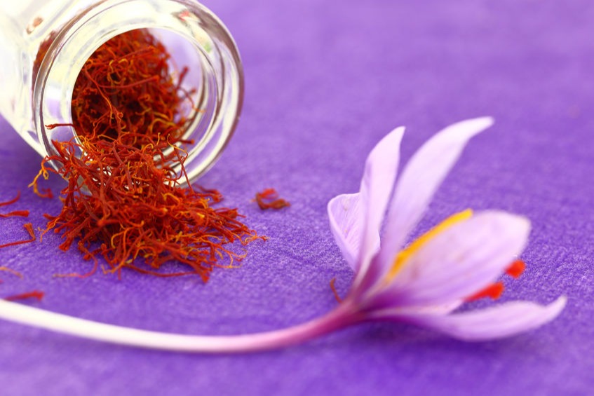 Harga dan kualitas bunga saffron